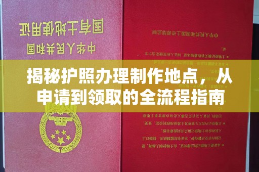 玉山揭秘护照办理制作地点，从申请到领取的全流程指南